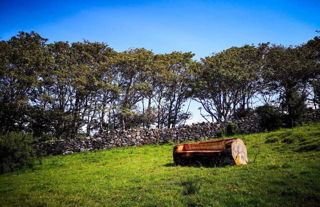 The Snuggly Sheep Shepherd Hut Campview Farm Stay - Foto 17