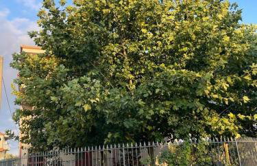 La casa dei tre platani - Foto 30