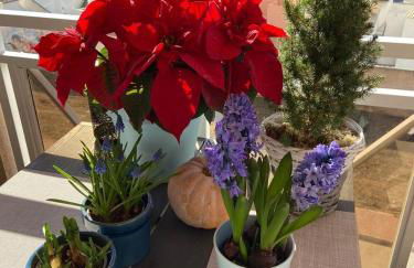 HELSINKI apartment - Foto 26