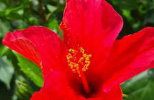 Casa Ladena - Foto 26