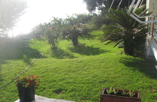 Areti Studios - Foto 64