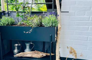 Landhausglück - Freizeitpark, Natur und Fahrradspaß direkt vor der Tür - Foto 32