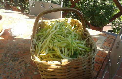 Agriturismo Caruggiu di via vecchia - Foto 17