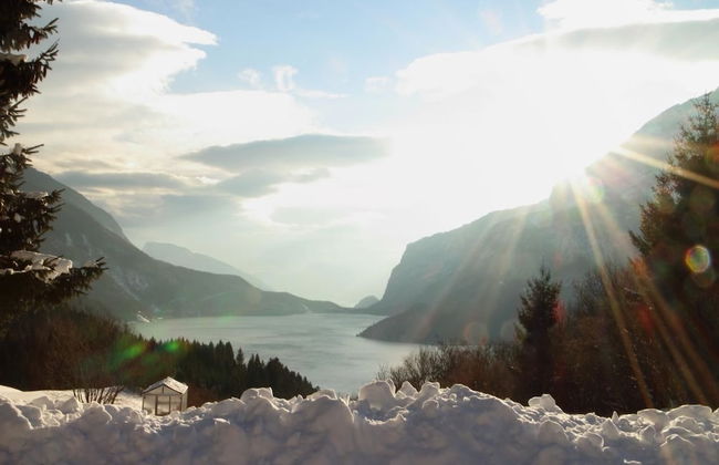 Agristurismo ai Castioni - Foto 54