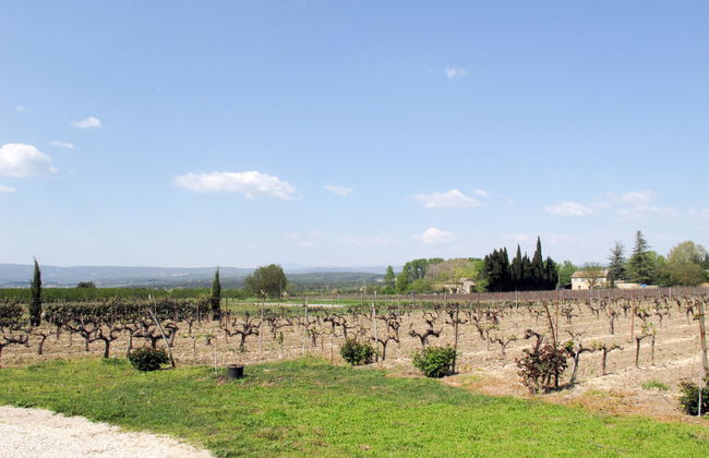 Les Vignes - Foto 20