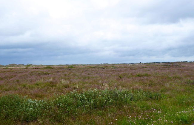 6 Person Holiday Home in Frederikshavn-by Traum - Foto 7