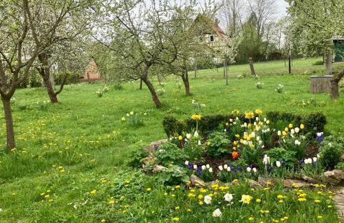 Forsthaus in Waldhessen - Foto 39