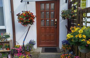 Pension Entenhausen - Foto 49