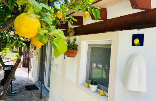 Casita Limón Andratx - Foto 6