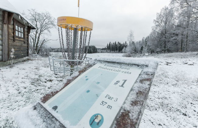 Kissaniemi - Foto 19