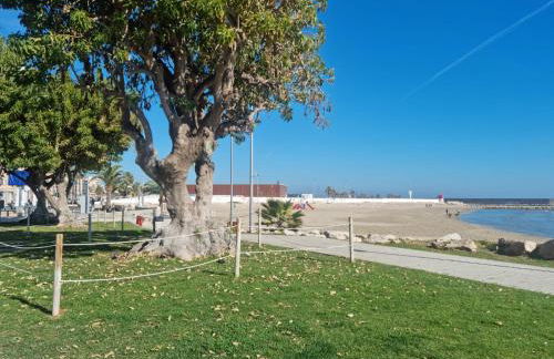 Apartamento Papa Luna - Photo 15