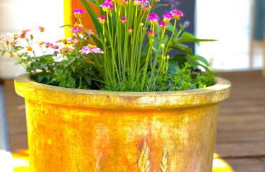 Private Wine Country-River Bungalow! Sunny Treetop Views - Pets Stay Free - Foto 14