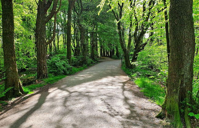 Staysville - Eiganes - Foto 60