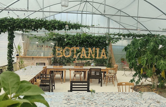 AgriBarocco - Photo 57