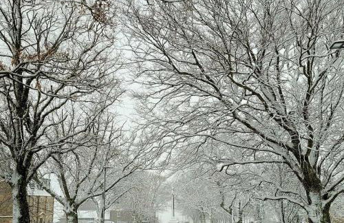 Bespoke Luxury Self Catering Dog Friendly Accommodation - Foto 40