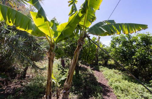 Home2Book Charming Nature Casa Aurora - Foto 32