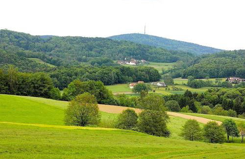 Ferienwohnung, Zenting - Foto 33