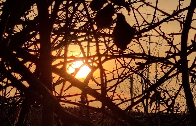 Paddock Cottage - Thorpe Arnold, Melton Mowbray - Foto 38