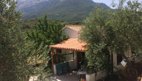 Villa L'Oliveto - Foto 3