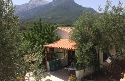 Villa L'Oliveto - Foto 3