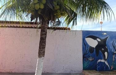 Casa Praia Abais - Estância SE - Foto 19