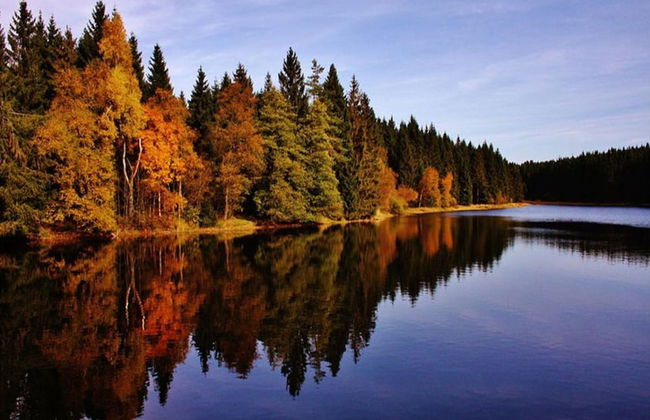 Ferienhaus in der Nahe des Sees, Haustierfrei - Foto 15
