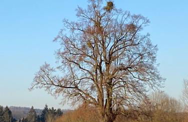 Kleine Auszeit - Foto 2