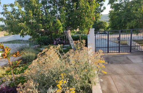 Villa Belvedere - Photo 31