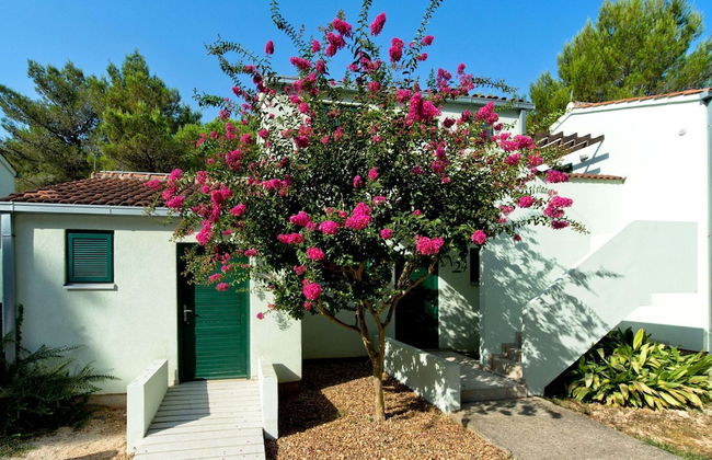 Apartments in Zaton With Pool - Foto 34