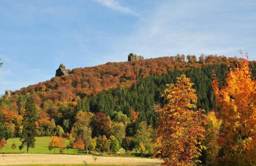 Ferienhaus Haus am Medebach - Foto 38