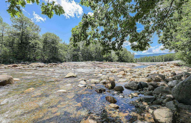 Loon Escape - Photo 40