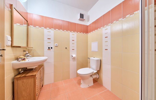 Horní Rokytnice - Foto 10