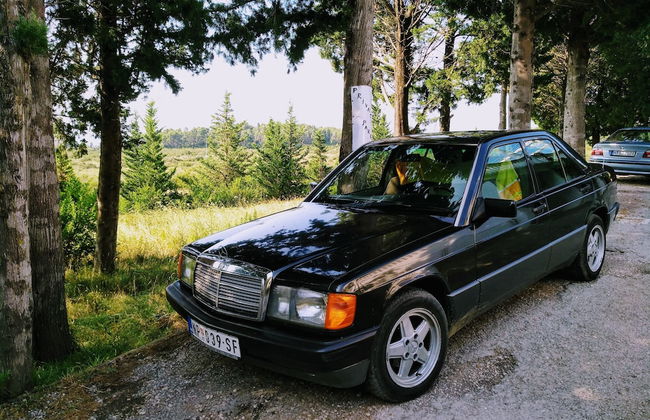 Vila Gerbera - Foto 38