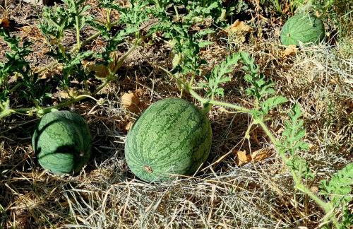 Con vistas Oria - Foto 41