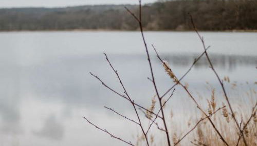 Gästehaus SeeZeit - Foto 4