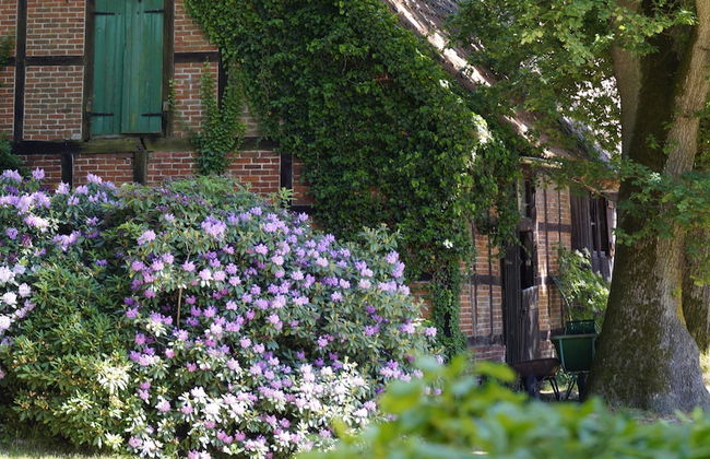 Ferienpension Lindenhof - Foto 32