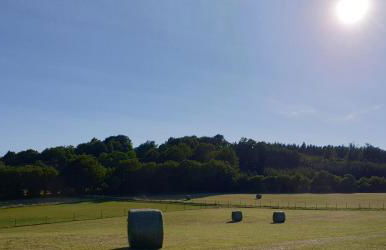 Ferienhaus Dreier-Ley - Foto 33