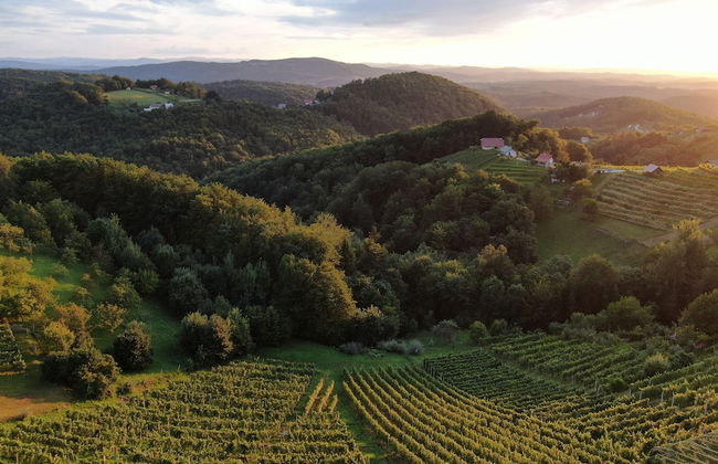 Vineyard Cottage Urban - Foto 8