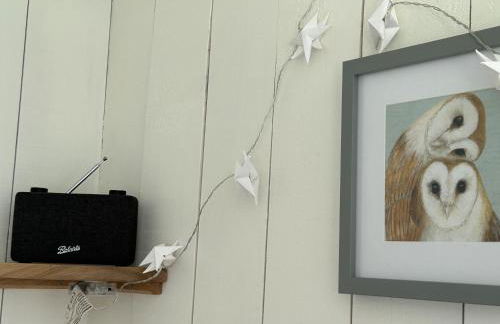 Cosy Owls Roost Hut With Private Hot Tub - Foto 85