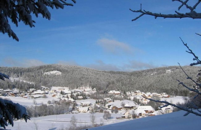 Apartment for 2 Adults & 2 Children near Ski Resort in Black Forest - Foto 34