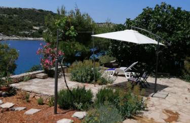 House Dragi - Foto 22