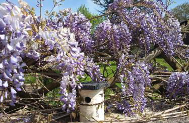 Maison de charme - Foto 9