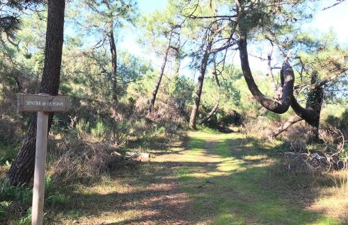 Gîte de l'océan, 3 étoiles - Les cabanes océanes, Montalivet - Foto 34