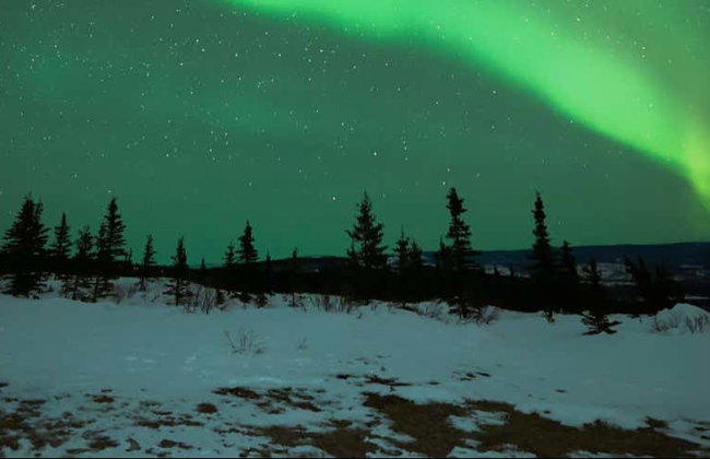 Tour fotográfico de la aurora boreal con barbacoa - Foto 1