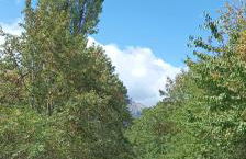 Villa Rico Masseria nel Parco - Photo 15