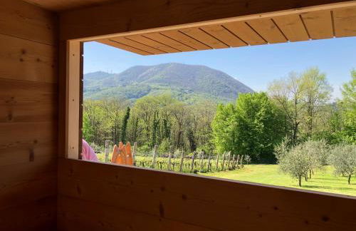 Agriturismo Terre Bianche - Foto 61