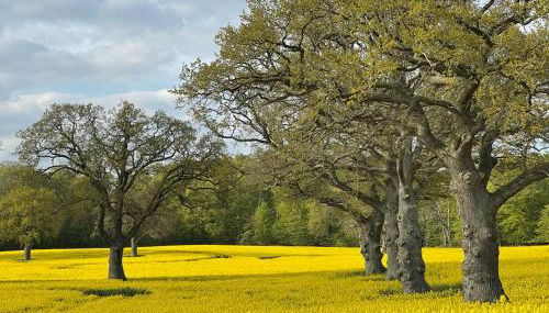 Laboe & Probstei erleben - Foto 3