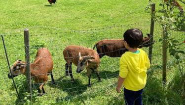 4 Star Maisonnette mit Kaiser Blick, Sauna, Schwimmbad - Foto 5