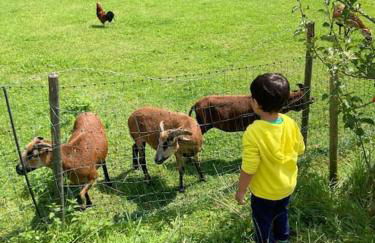 4 Star Maisonnette mit Kaiser Blick, Sauna, Schwimmbad - Foto 5