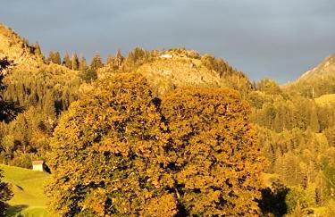 Bad Hindelang - Foto 31